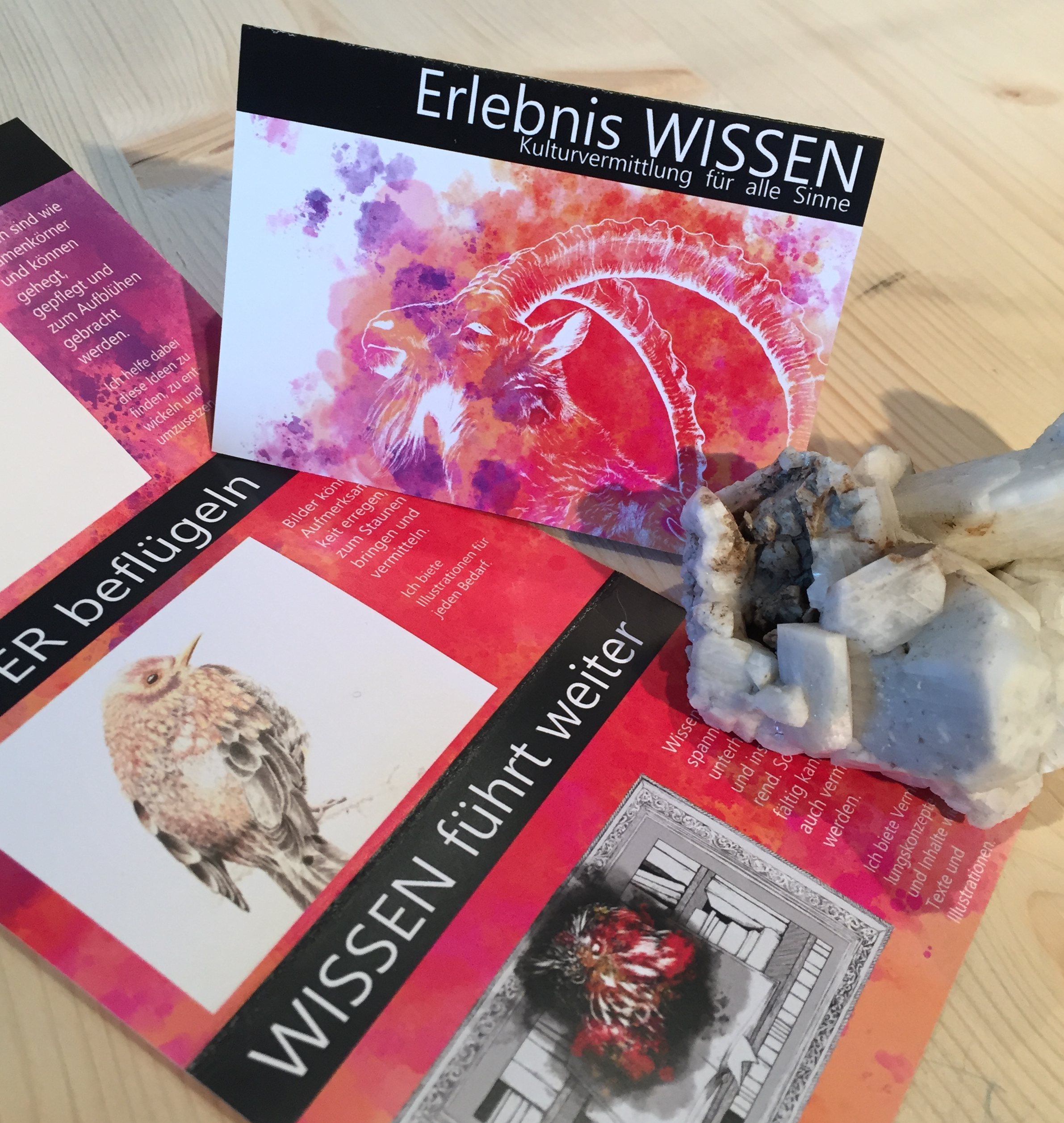 ErlebnisWISSEN Werbeflyer