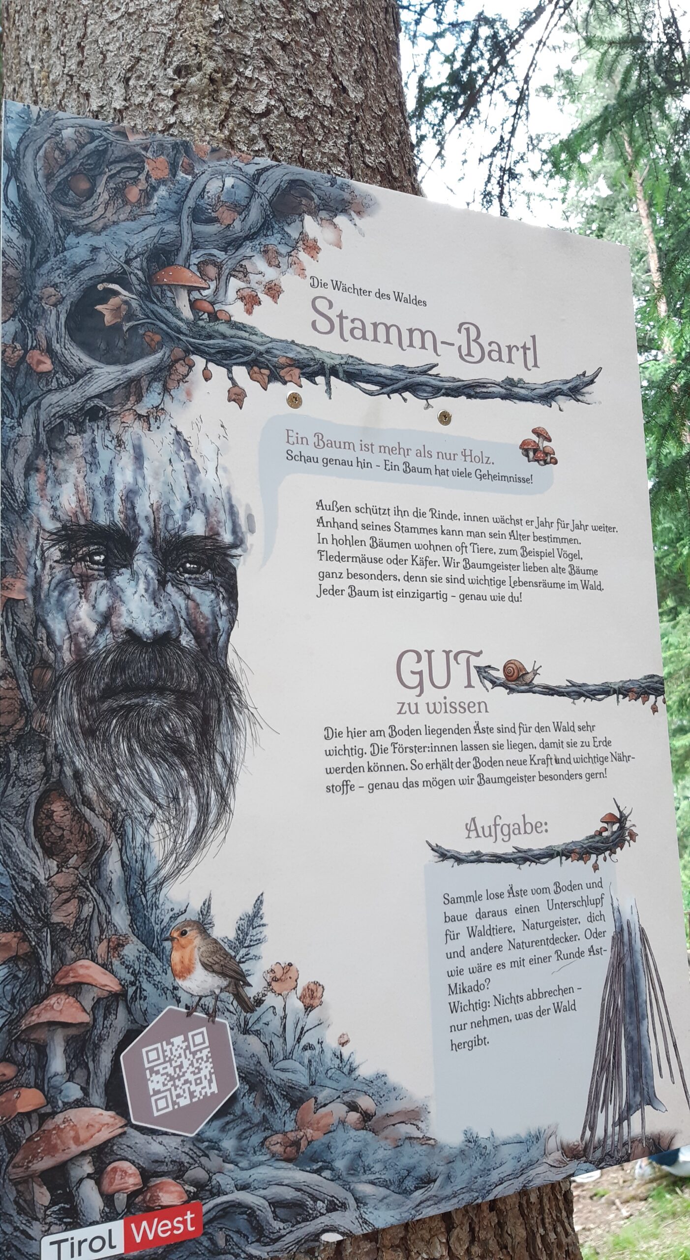 „Die Wächter des Waldes“ – Schutzwaldweg über Schloss Landeck