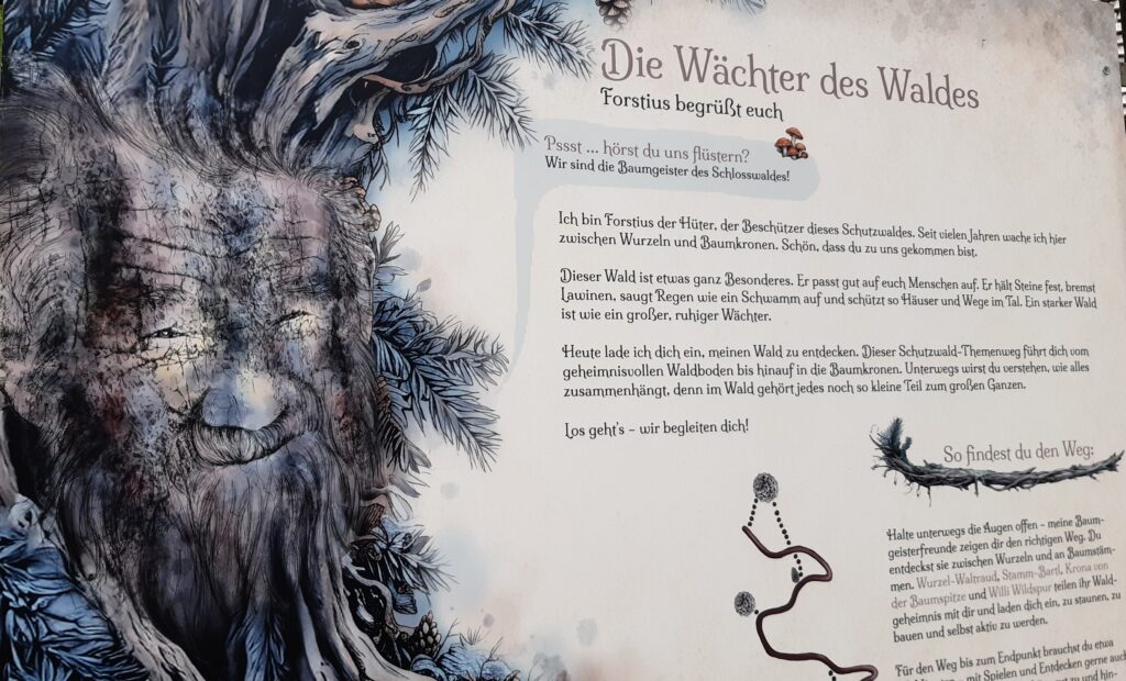 Tafel des Schutzwaldweges mit Portrait eines Baumgeistes von Alrun Lunger.